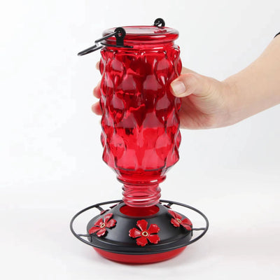 Hummingbird Feeder Glass Bottle Bee Guards & Ant Moat 16 Oz