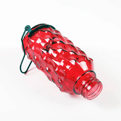 Hummingbird Feeder Glass Bottle Bee Guards & Ant Moat 16 Oz