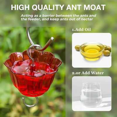 Hummingbird Feeder Six-Flower Ports Glass Ant Moat