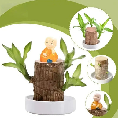 Indoor Plant Air-Purifying & Low-Light Tolerant