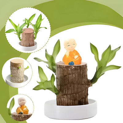Indoor Plant Low-Light Air-Purifying & Low-Maintenance