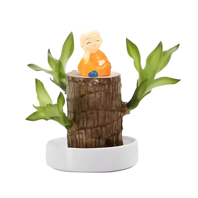 Indoor Potted Plant Low-Light & Air-Purifying Compact Roots