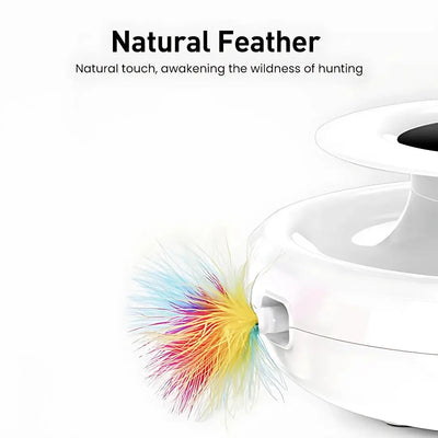 Interactive Cat Toy 2-in-1 Feather Wand & Rolling Ball