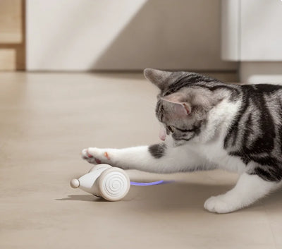 Interactive Cat Toy Self-Driving Laser & Self-Righting