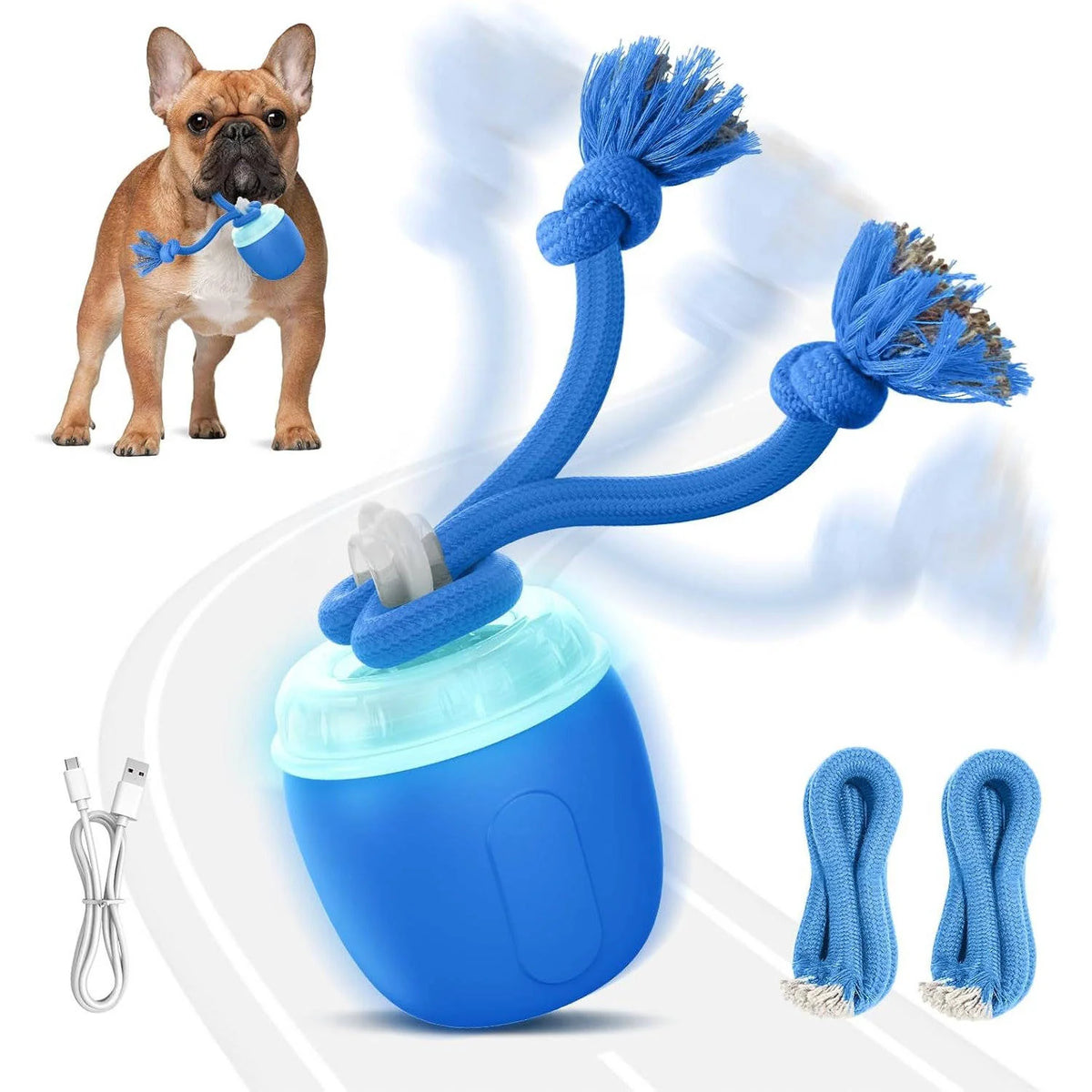 Interactive Dog Ball Motion-Activated USB Rechargeable