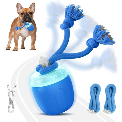 Interactive Dog Ball Motion-Activated USB Rechargeable