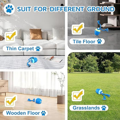 Interactive Dog Ball Motion-Activated USB Rechargeable