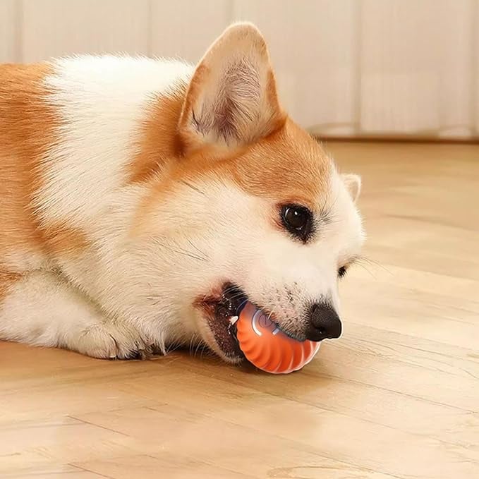 Interactive Dog Toy Unpredictable Motion Smart Sensors