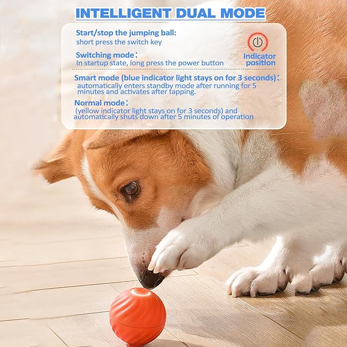 Interactive Dog Toy Unpredictable Motion Smart Sensors