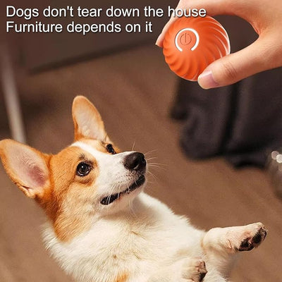 Interactive Dog Toy Unpredictable Motion Smart Sensors