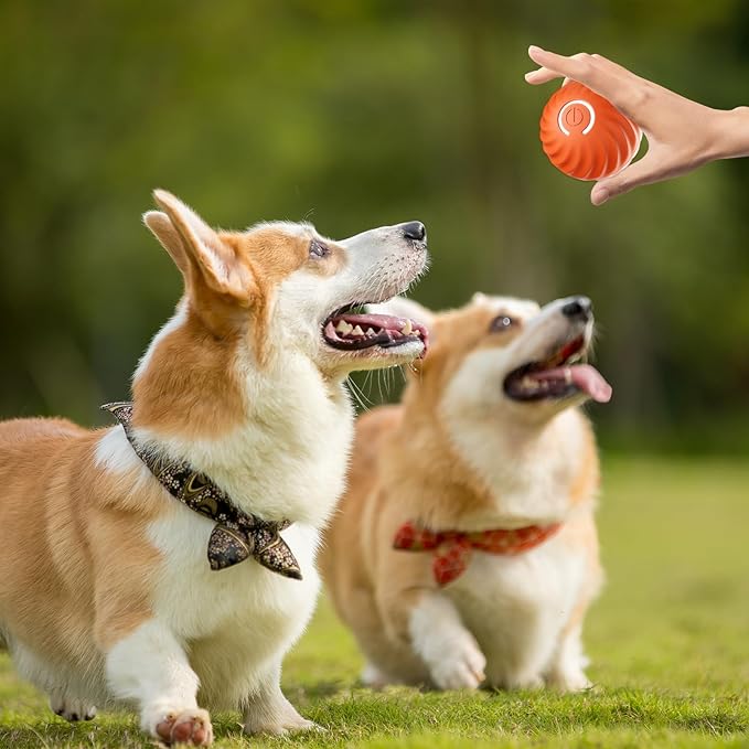 Interactive Dog Toy Unpredictable Motion Smart Sensors