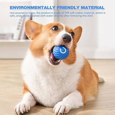 Interactive Dog Toy Unpredictable Motion Smart Sensors