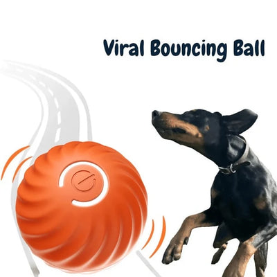 Interactive Dog Toy Unpredictable Motion Smart Sensors