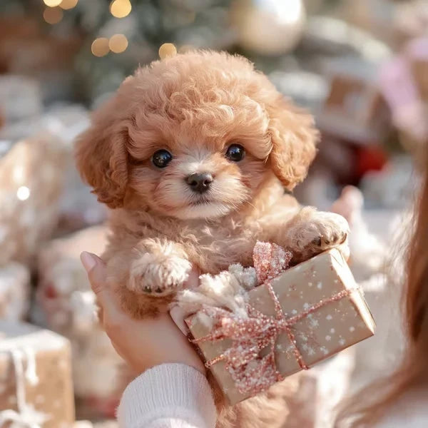 Interactive Plush Dog Walking Barking & Sitting