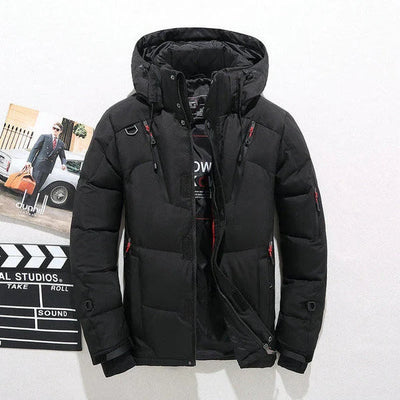 Jacket Insulated Polyester Tailored Fit Removable Hood & Full-Zip