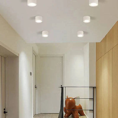 LED Ceiling Spotlight Adjustable Rotating Head Flush Mount