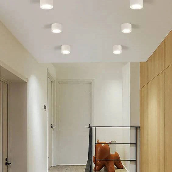 LED Ceiling Spotlight Adjustable Rotating Head Flush Mount