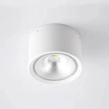 LED Ceiling Spotlight Adjustable Rotating Head Flush Mount