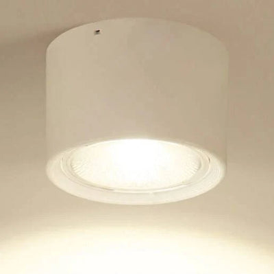LED Ceiling Spotlight Adjustable Rotating Head Flush Mount