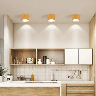 LED Ceiling Spotlight Adjustable Rotating Head Flush Mount
