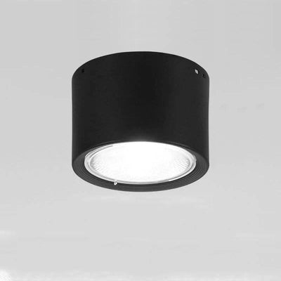 LED Ceiling Spotlight Adjustable Rotating Head Flush Mount