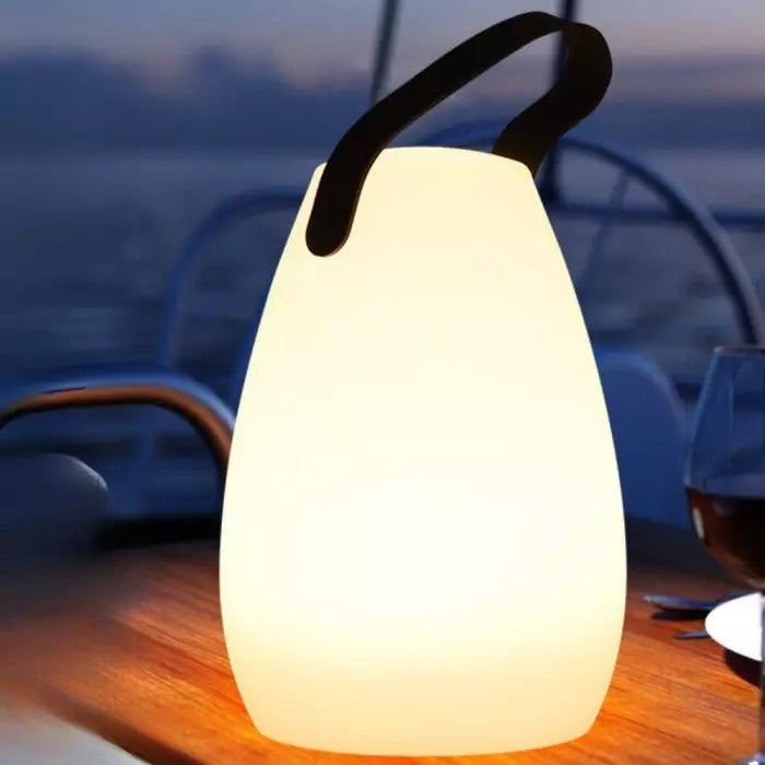 LED Table Lamp Remote & Dimmable USB-C Rechargeable Splash-Proof