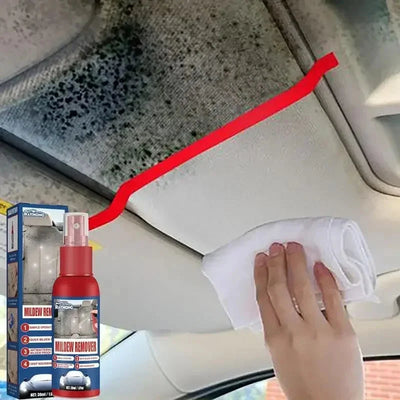 Mold Remover Spray Fast-Acting Antibacterial Interior-Safe