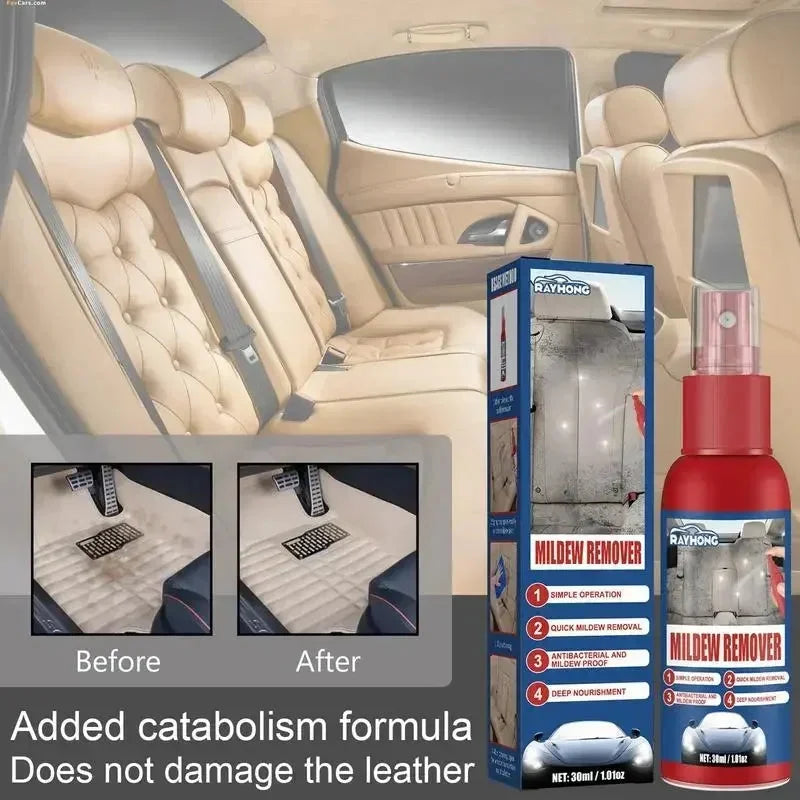 Mold Remover Spray Fast-Acting Antibacterial Interior-Safe