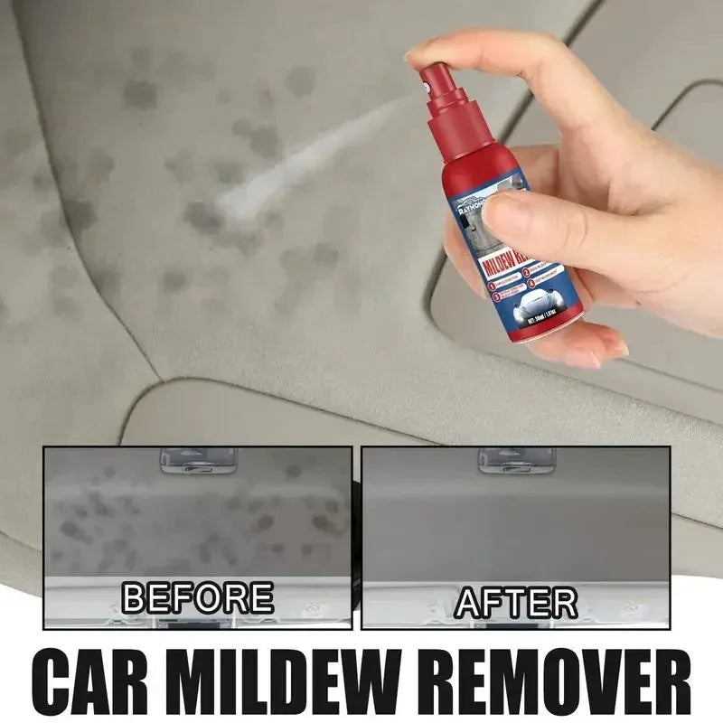 Mold Remover Spray Fast-Acting Antibacterial Interior-Safe