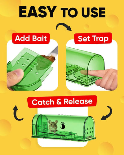 Mouse Trap Live Catch and Release Clear Body Set of 4