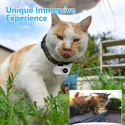Pet Camera Collar Magnetic Mount 170° Wide-Angle Night Vision