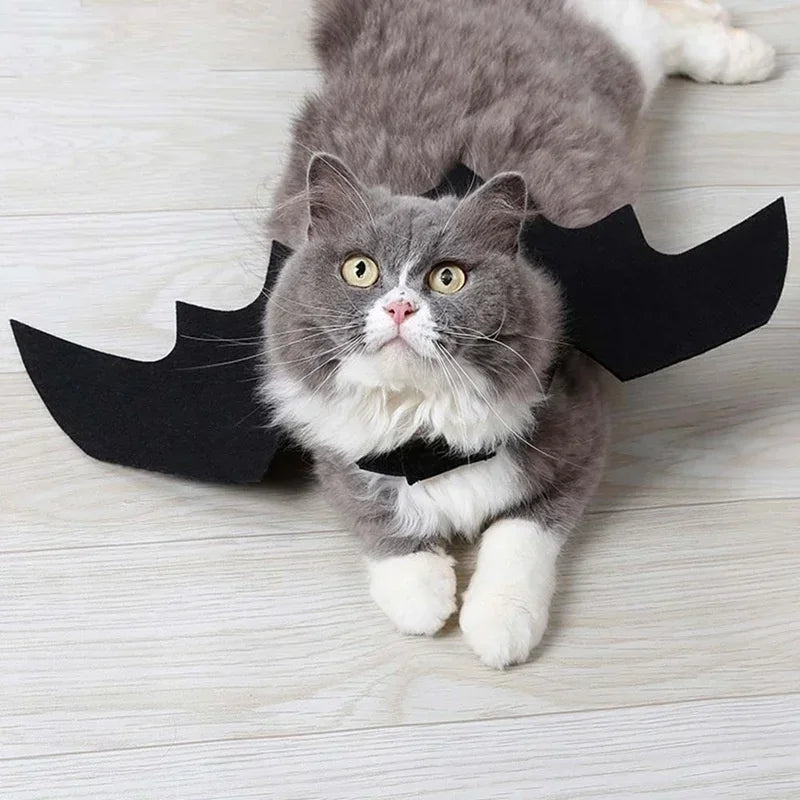 Pet Costume Bat Wings Adjustable Velcro & Lightweight Felt