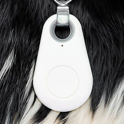 Pet Tracker Bluetooth Tracking & Proximity Alerts 6-Month Battery