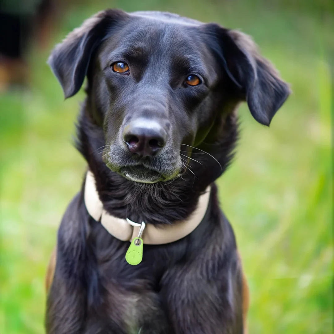 Pet Tracker Bluetooth Tracking & Proximity Alerts 6-Month Battery