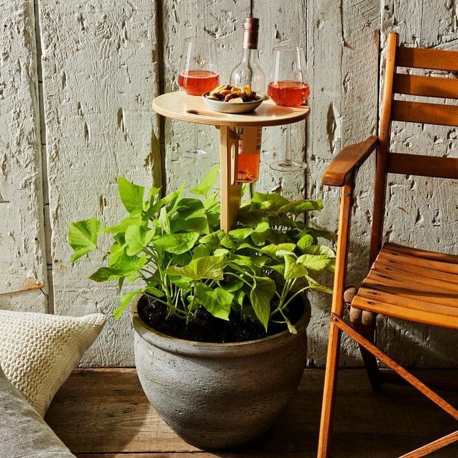 Picnic Table Birch Wood Top Integrated Wine & Bottle Holder