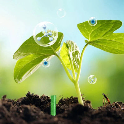 Plant Fertilizer Sticks Slow-Release Root-Activated