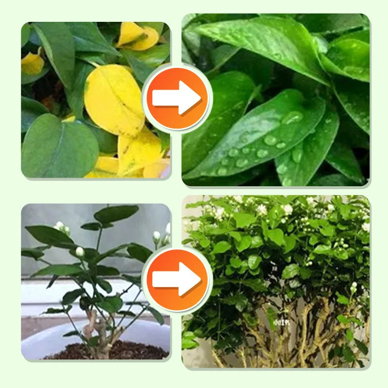 Plant Fertilizer Sticks Slow-Release Root-Activated