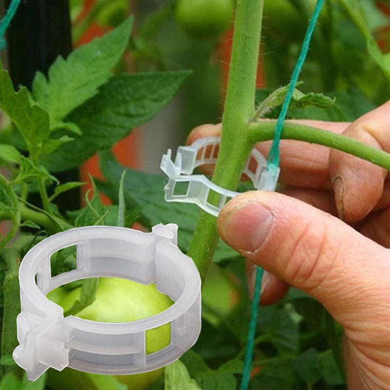 Plant Support Clips Quick-Release Reusable Set of 100