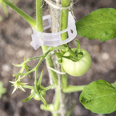 Plant Support Clips Quick-Release Reusable Set of 100
