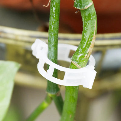 Plant Support Clips Quick-Release Reusable Set of 100