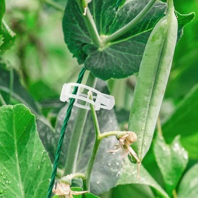 Plant Support Clips Quick-Release Reusable Set of 100