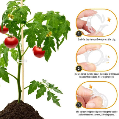 Plant Support Clips Quick-Release Reusable Set of 100