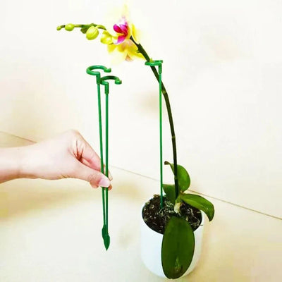 Plant Support Stakes Tool-Free & Weatherproof 20-Piece Set