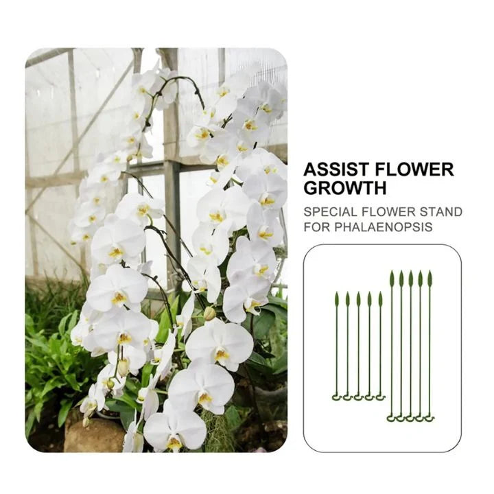 Plant Support Stakes Tool-Free & Weatherproof 20-Piece Set
