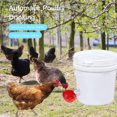 Poultry Waterer Cups Automatic Refill Set of 10