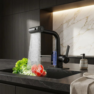 Pull-Out Kitchen Faucet LED Temperature Display Five Spray Modes