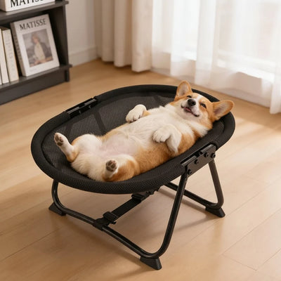 Raised Pet Bed Breathable Mesh Foldable Non-Slip Feet