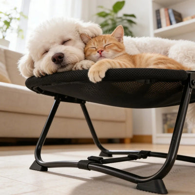 Raised Pet Bed Breathable Mesh Foldable Non-Slip Feet