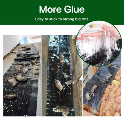 Rodent Glue Trap Extra Strong Adhesive Transparent & Waterproof