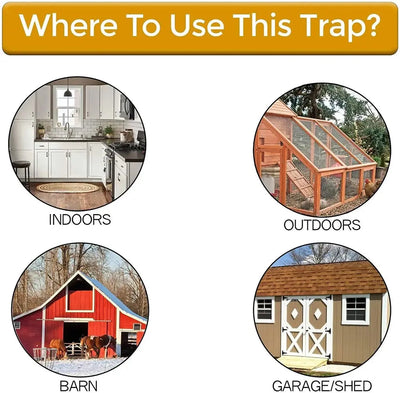 Rodent Trap Enclosed Reusable Counterweighted Plank Design